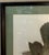 Mid 20th Century Mid Century John Gould Bird Lithograph in Large Black Wood Frames - 42.5" X 30" - 2 of 2 For Sale - Image 5 of 7