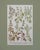 Antique botanical engraving depicting multiple varieties of basil (Ocimum), from Phytanthoza Iconographia, first published...