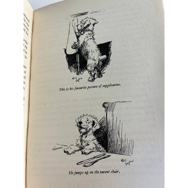 Paper 1930s Vintage Dogs Bunch Book Amateur Trainer Books Set of 2 For Sale - Image 7 of 13