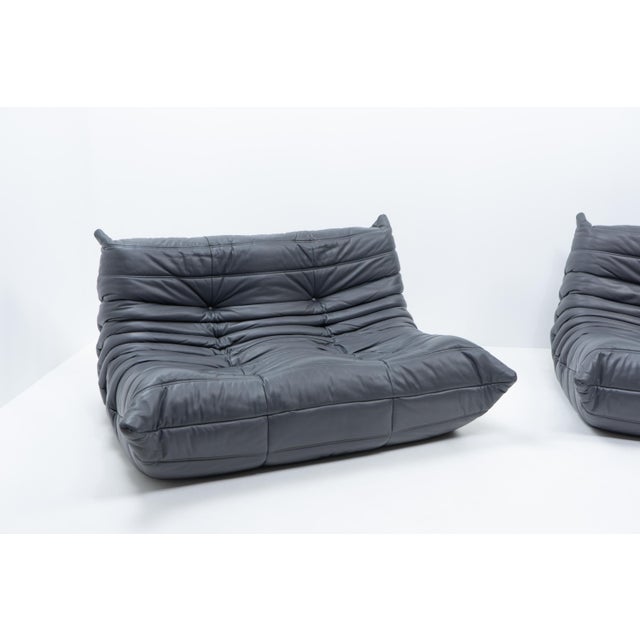 Gray Togo Set in Grey Leather by Michel Ducaroy for Ligne Roset, 1990s, Set of 2 For Sale - Image 8 of 15