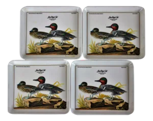 John James Audubon "Green Winged Teal" Coasters - Set of 4