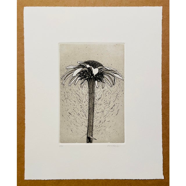 1990s floral etching, pencil signed illegibly and numbered 9 of 30. Combined shipping available, please inquire.