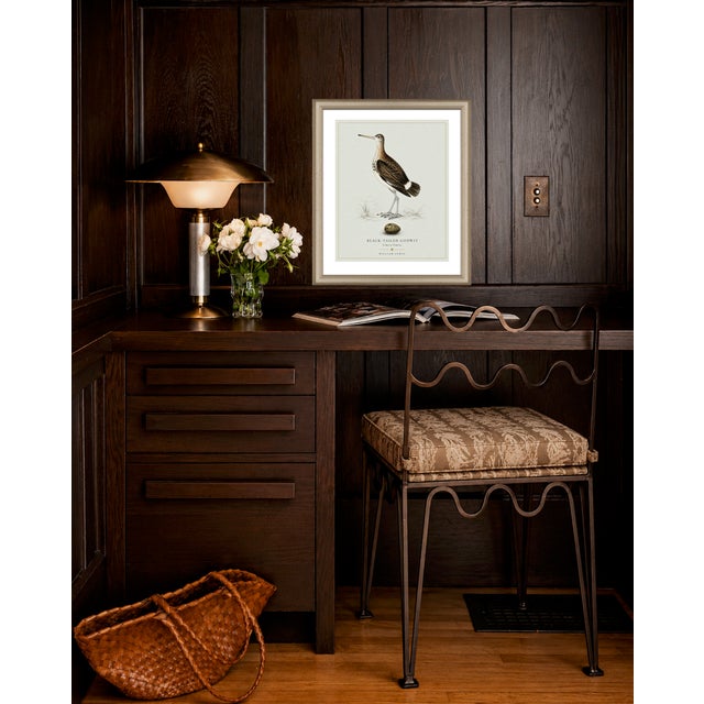 Illustration William Lewin 1789 Waterbirds Fine Art Gallery Board Print - Black Tailed Godwit For Sale - Image 3 of 13