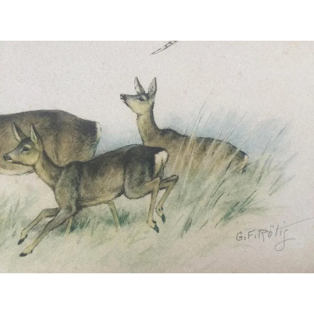 Modern Georges Frédéric Rötig, Study of Deer, Hand-Signed Etching For Sale - Image 3 of 5