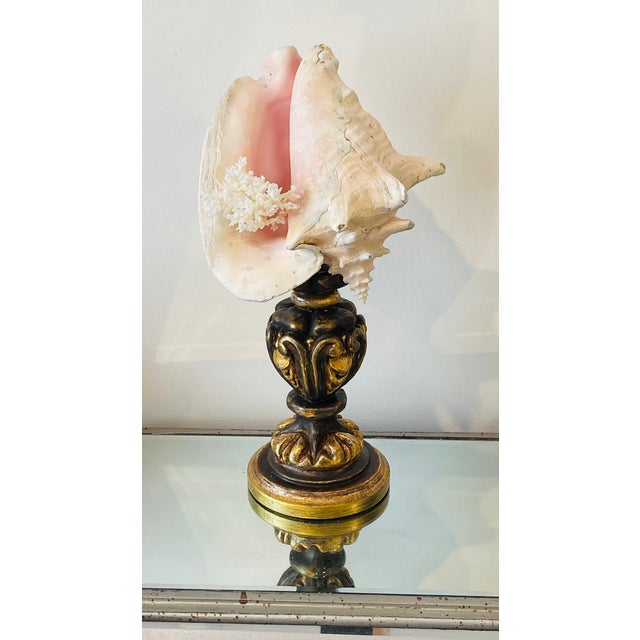 Nature’s beauty-,simple elegant large conch sea shell arranged on an Italian carved gilded wood Pricket stand.
