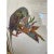 Abstract Late 20th Century Large Statememt Framed Parrot Wall Art For Sale - Image 3 of 11