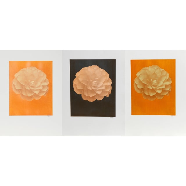 2010s Jonathan Singer, Set of 3 Dahlia, Photographs For Sale - Image 5 of 5