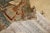 19th Century Zabihi Collection Fine Turkish Sivas Horse Pictorial Rug - 5'1" x 7'1" For Sale In New York - Image 6 of 10