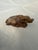 Chinese Chinese Soapstone Water Buffalos For Sale - Image 3 of 7