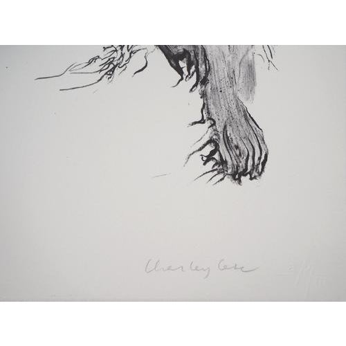 Charley case very strange fruits, hallugraphies, 2005 original lithograph signed in pencil on bfk rives, 91 x 63 cm...