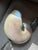 Metal Binazzi Firenze Silver Plate & Nautilus Shell Bird Sculpture, 1970s. Signed. For Sale - Image 7 of 10