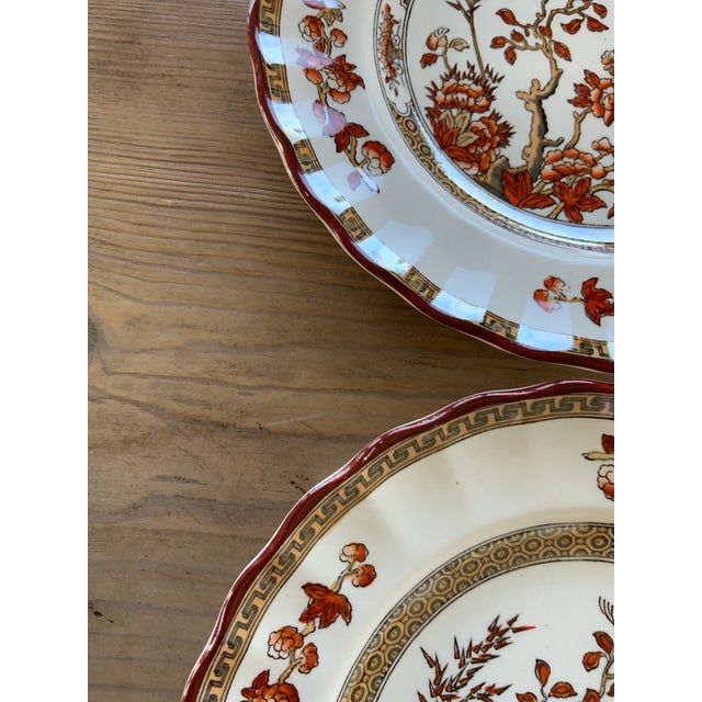 Ceramic Antique Copeland Spode Orange Rust and Gold Scallop-Edged “India Tree” Bread Plate - 8 Available For Sale - Image 7 of 8