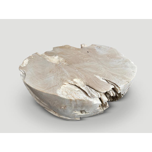 Andrianna Shamaris Organic Drum Shape Teak Wood Coffee Table For Sale - Image 18 of 18