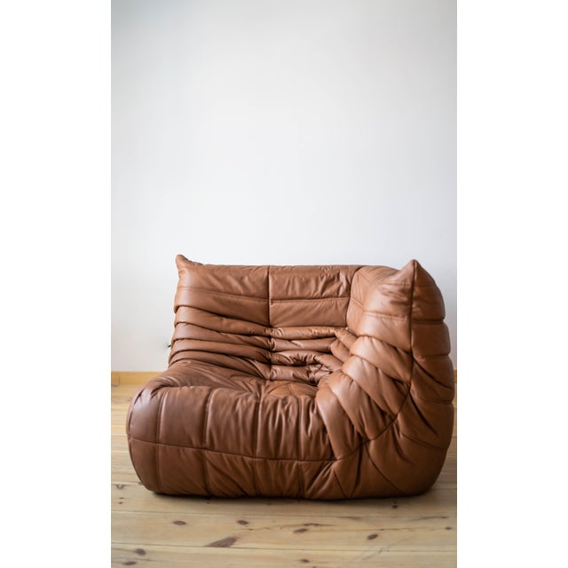 Brown Leather Togo Living Room Set by Michel Ducaroy for Ligne Roset, Set of 5 For Sale - Image 12 of 18