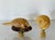 Two vintage Florida animalistic figurines of armadillo and iguana mounted on brass bases as lamp finials.