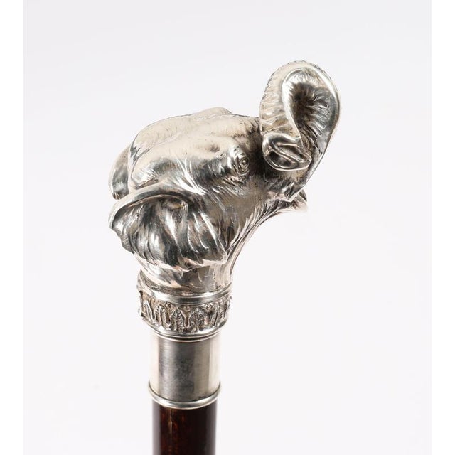 This is a fantastic antique Austro-Hungarian sterling silver elephant handled walking stick by Magrino bearing hallmarks...