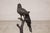 Vintage Bronze Parrot Sculpture on Branch Form Stand For Sale In New York - Image 6 of 12