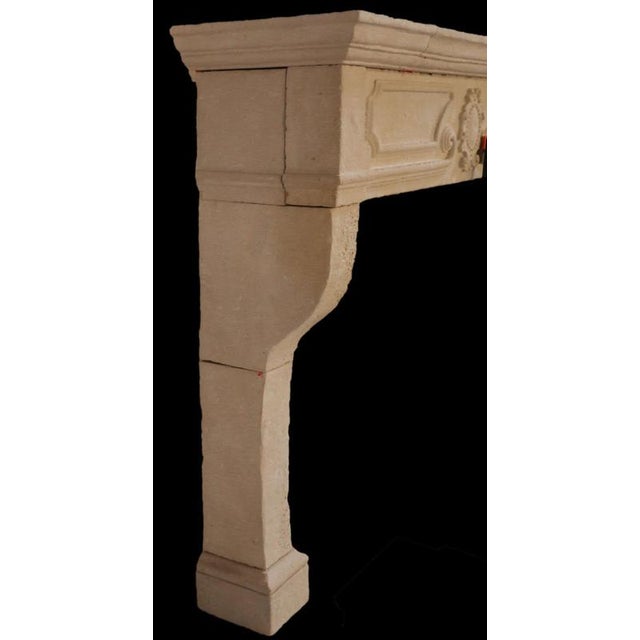 20th Century French Louis XV Limestone Fireplace with Floral Medallion For Sale - Image 6 of 7
