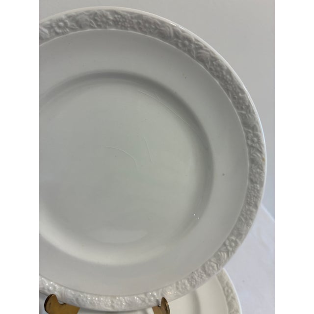 Wedgwood Vintage Wedgwood Salad Plates Set of 4, Embossed Floral Rim, England For Sale - Image 4 of 11