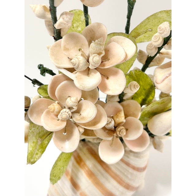 Mid 20th Century Vintage Shell Sculpture Flower Arrangement in Conch Shell Vase – Mid-Century Coastal Seashell Sculpture For Sale - Image 5 of 11