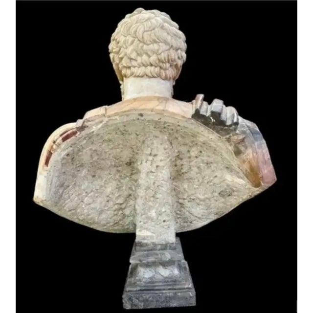 Italian Specimen Marble Busts of Roman Emperors, a Pair For Sale - Image 9 of 17