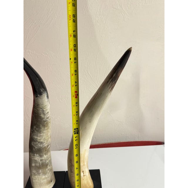 Bone 1970s Pair of Decorative Steer Horns For Sale - Image 7 of 7
