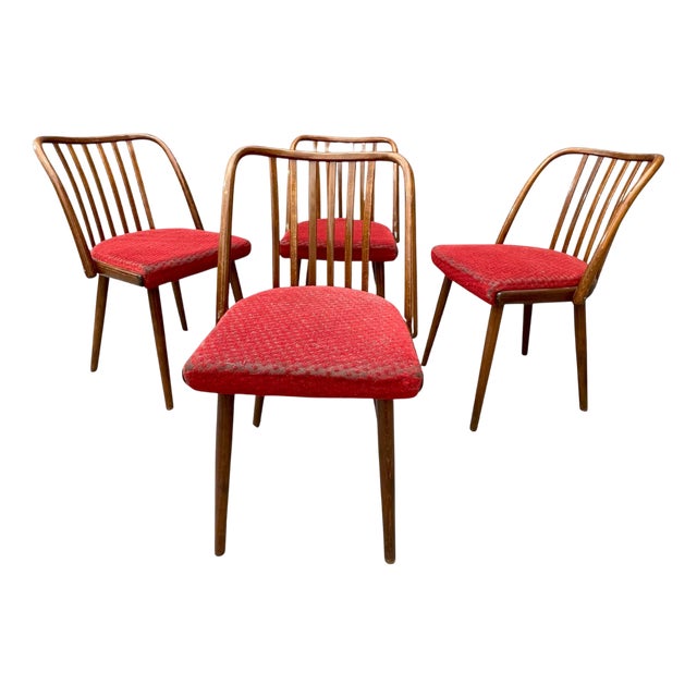 Czechoslovakian Chairs by Antonín Šuman, 1960s, Set of 4 For Sale