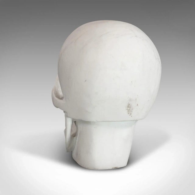 20th Century Marble Decorative Ornamental Skull For Sale - Image 6 of 11