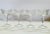 Contemporary Late 20th Century Cristal D’Arques “Chateaudun”Champagne Glasses- Set of 4 For Sale - Image 3 of 10