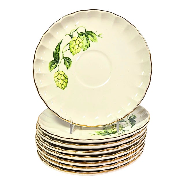 Gold Rimmed Hops Saucers- Set of Eight For Sale