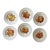 Vintage Hutschenreuther German Fruit Plates – Set of 6 For Sale