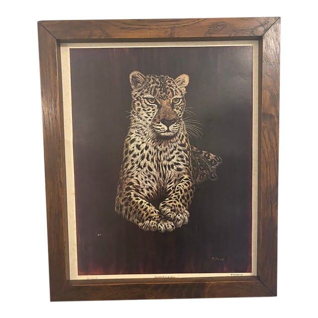 Vintage “Leopard” by M. Brice Aaron Pix Wildlife Print in Wood Frame For Sale