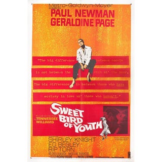Sweet Bird of Youth 1962 U.S. One Sheet Film Poster For Sale