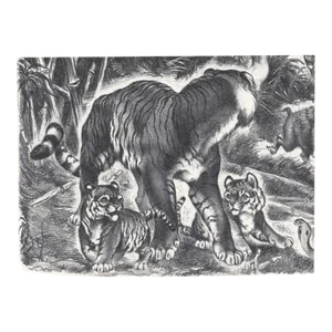 Robert Neigherbauer Tiger and Cubs Lithograph