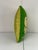 Vintage Shamrock Throw Pillow For Sale - Image 4 of 12