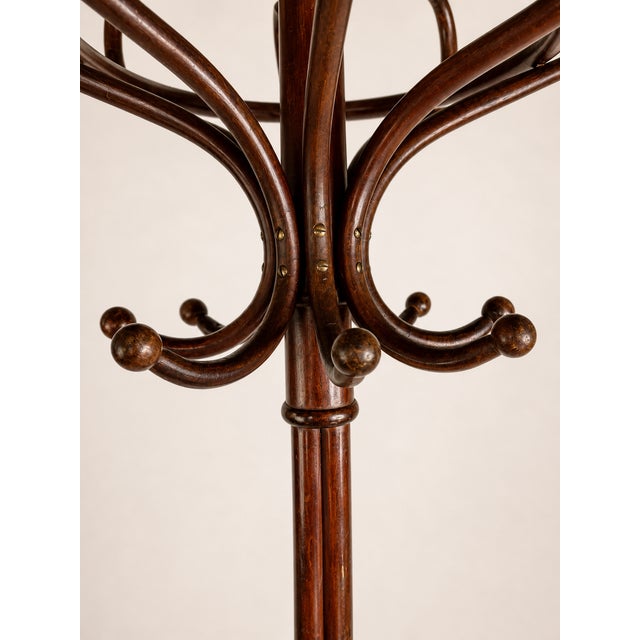Bentwood Coat Rack by Gebrüder Thonet, Austria, 1905 For Sale - Image 4 of 6
