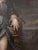 Flemish School Artist, Holy Child Jesus of the Passion, 17th century, Oil Painting on Canvas For Sale - Image 8 of 11