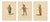 Black East Indies Figures & Tribal Dress, 1749, Engraving, Set of 3 For Sale - Image 8 of 9