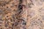 Textile Art Nouveau Foral 1990's Pak-Persian Gold/Gold Wool Rug - 12'0'' X 17'8'' For Sale - Image 7 of 9