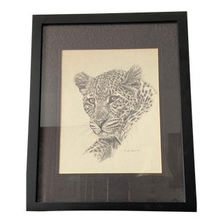 Signed Jan Jellins 1975 Leopard Black Ink Drawing, Framed For Sale