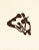 Artist: Jean Arp Country: Germany-France Title: Untitled – C15 Medium: Woodcut Marks: Not signed, not numbered Paper size:...