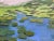 2010s Water Lilies in the Harlem Meer Oil Painting For Sale - Image 5 of 5