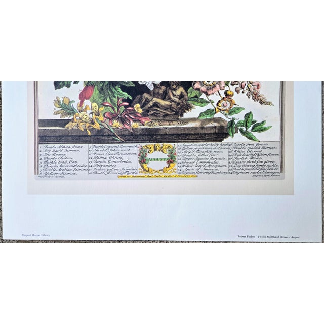1980s 1980s Vintage Robert Furber August Botanical From "Twelve Months of Flowers” Pierpont Morgan Library Print For Sale - Image 5 of 11