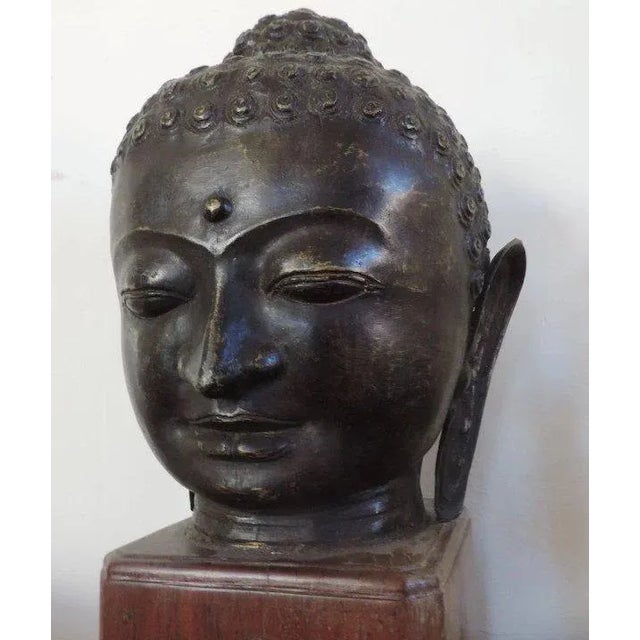 Large 19th Century Bronze Buddha Head Mounted on Mahogany Pedestal For Sale - Image 9 of 10