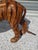 Vintage Leather Tiger, 1960s For Sale - Image 11 of 12
