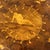 Brown Italian Charles X Walnut Coffee Table, 19th Century For Sale - Image 8 of 10
