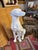 Vintage mid to late 20th century life size ceramic Italian greyhound dog. Marked “Vellum, made in Italy.” A striking,...