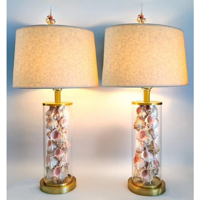 Lamps by Ralph Lauren Signed Pair With Shells Seashells Added For Sale - Image 13 of 17