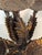 1970s Bronze Artichoke Style 7 Arm Centerpiece or Candelabra For Sale - Image 4 of 4