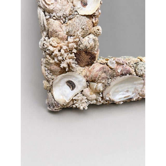 Glass Monumental Coastal Boho Grotto Seashell Coral Oyster Shellwork Mirror 6' X 4' For Sale - Image 7 of 9
